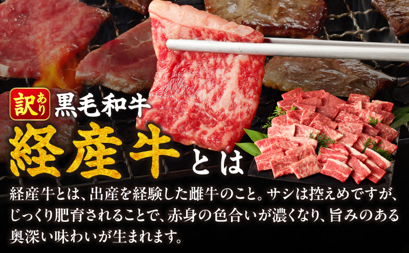 生産者応援≪訳あり≫黒毛和牛(経産牛)6種焼肉セット(合計300g) 肉 牛 牛肉 おかず 国産_T030-1193