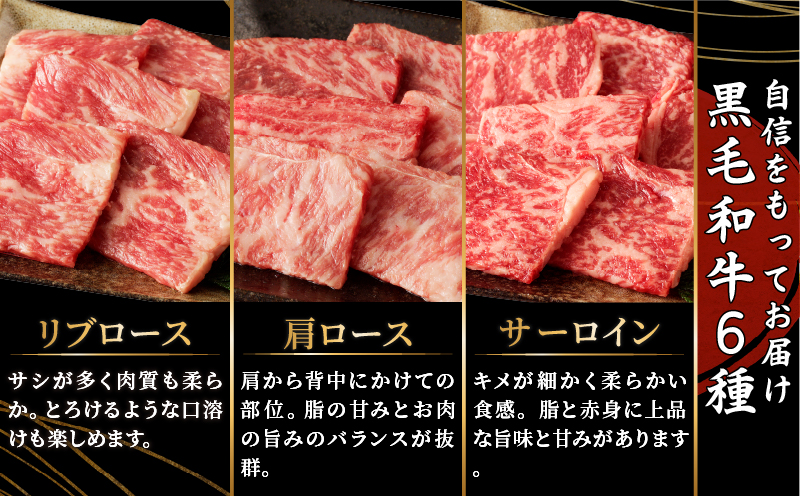 生産者応援≪訳あり≫黒毛和牛(経産牛)6種焼肉セット(合計300g)_T030-119-MP