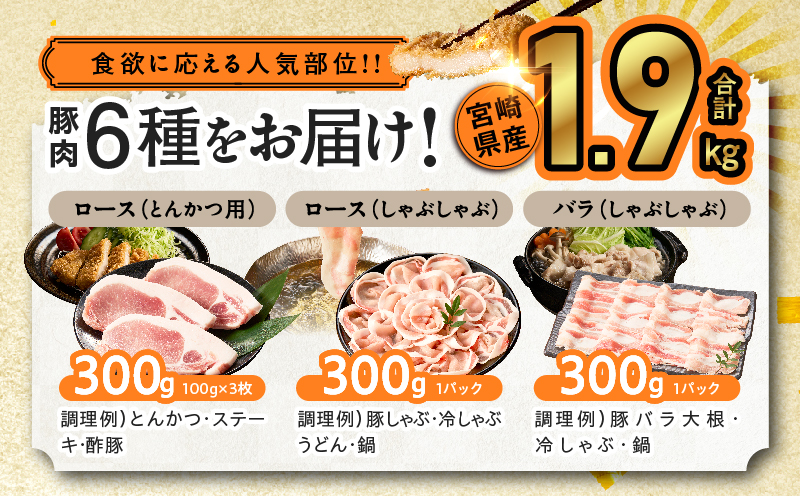 宮崎県産豚肉6種盛り合わせセット(合計1.9kg) 肉 豚 豚肉 おかず 国産_T030-227