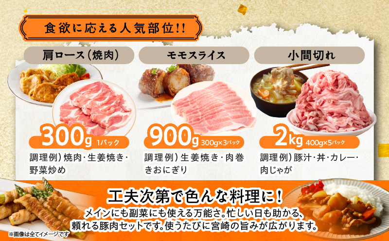 宮崎県産豚肉6種盛り合わせセット(合計4.1kg) 肉 豚 豚肉 おかず 国産_T030-204