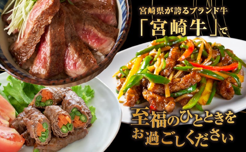 ≪3か月定期便≫夢の宮崎牛食べつくしセット(総重量3kg) 肉 牛 牛肉 おかず 国産_T030-1423