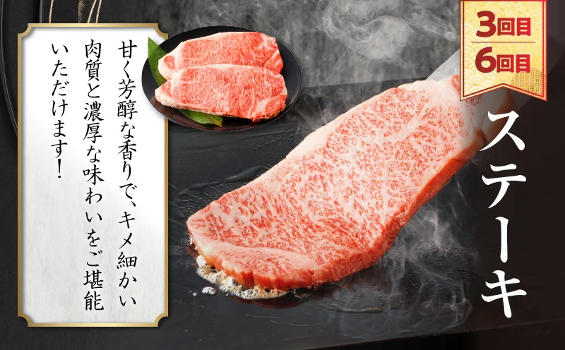 ≪6か月定期便≫夢の宮崎牛食べつくしセット(総重量6kg) 肉 牛 牛肉 おかず 国産_T030-1433