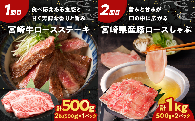 ≪6か月お楽しみ定期便≫宮崎の牛豚贅沢堪能セット(総重量4kg) 肉 牛肉 豚肉 おかず 国産_T030-064-MP