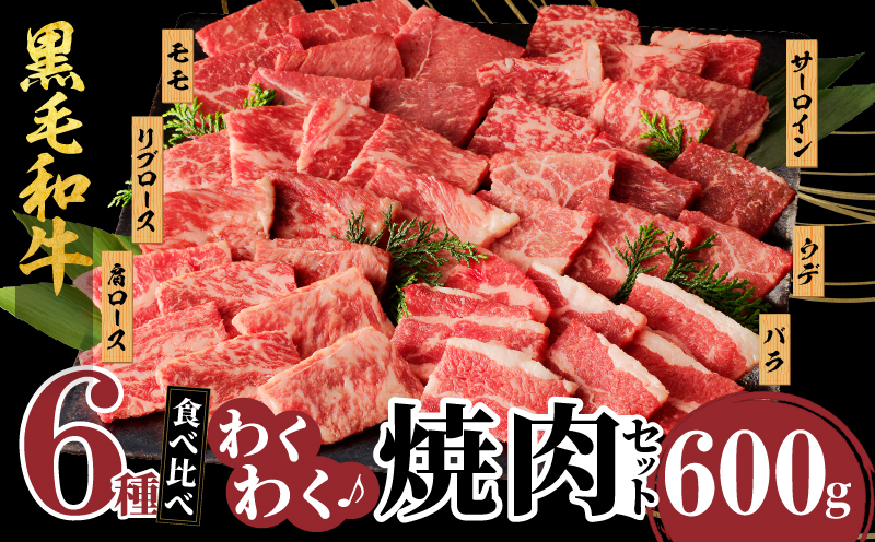 【2週間以内発送】生産者応援≪訳あり≫黒毛和牛(経産牛)6種焼肉セット(合計600g)_T030-023-MP