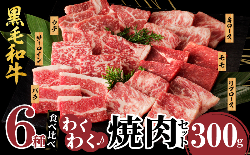 【2週間以内発送】生産者応援≪訳あり≫黒毛和牛(経産牛)6種焼肉セット(合計300g)_T030-022-MP