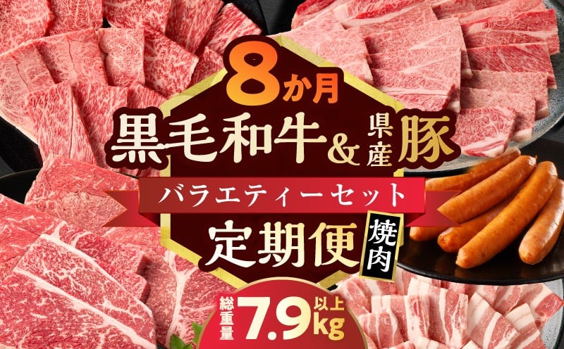 ≪8か月定期便≫黒毛和牛＆県産豚バラエティーセット(焼肉)総重量7.9kg以上 肉 牛 牛肉 国産_T030-1803