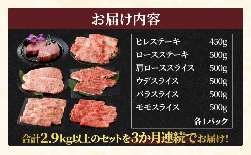 ≪数量限定≫3か月お楽しみ定期便!!宮崎牛食べ尽くし(竹コース)総重量8.8kg以上 肉 牛 牛肉 おかず 国産_T030-019-MP