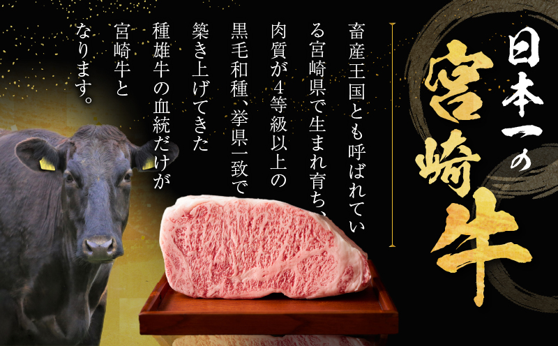 生産者応援≪肉質等級4等級以上≫宮崎牛ロースステーキ(計1kg) 肉 牛 牛肉 焼肉 国産_T030-1083