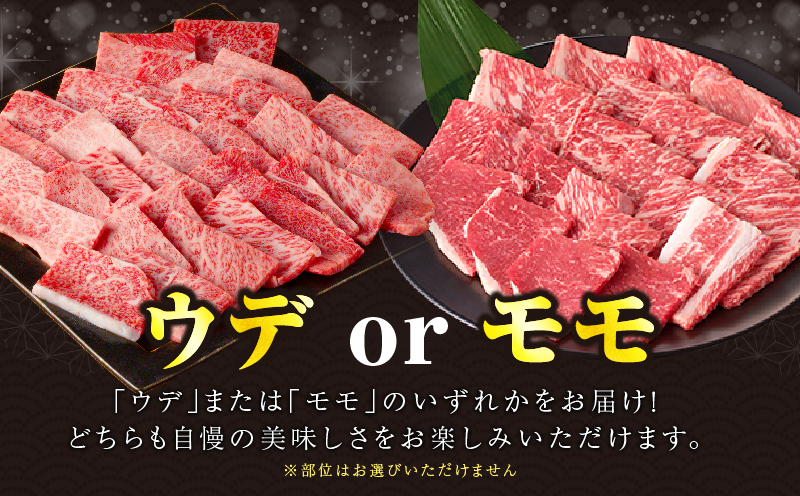 【畜産農家応援!!】≪肉質等級4等級以上≫黒毛和牛赤身焼肉(計2kg) 肉 牛 牛肉 国産_T030-0956