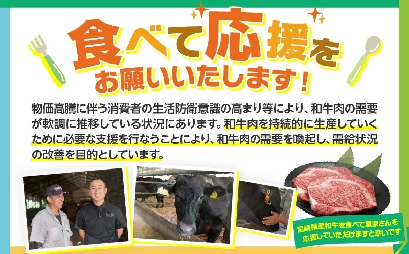 生産者応援≪肉質等級4等級以上≫黒毛和牛赤身スライス(計500g) 肉 牛 牛肉 おかず 国産_T030-0883
