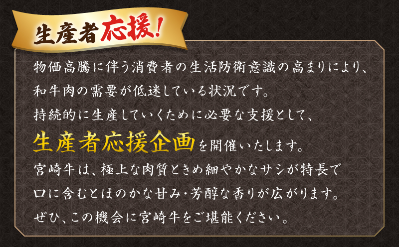 【2週間以内発送】数量限定≪生産者応援≫宮崎牛ロースステーキ(計500g)_T030-015-MP