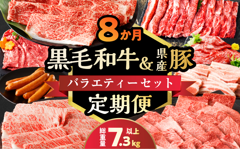 ≪8か月定期便≫黒毛和牛＆県産豚バラエティーセット(総重量7.3kg以上) 肉 牛 牛肉 おかず 国産_T030-070-MP