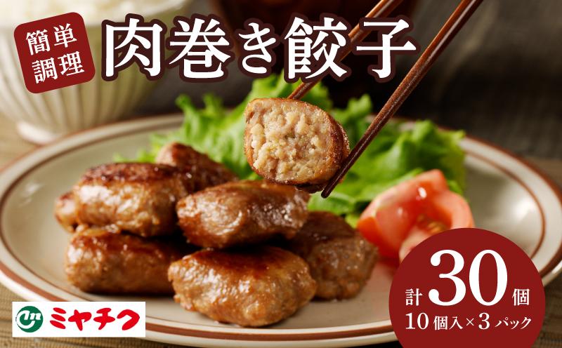 ≪新食感≫肉巻き餃子(計30個) _T030-001-MP