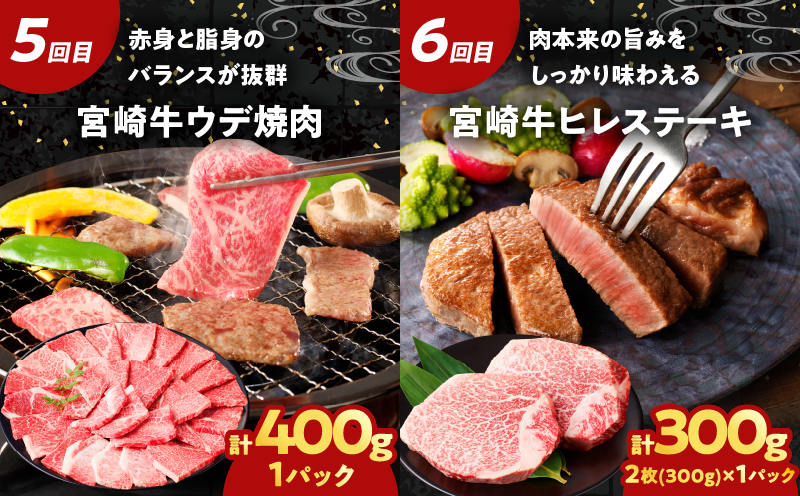 ≪6か月お楽しみ定期便≫宮崎牛食べ比べセット(総重量2.7kg) 肉 牛 牛肉 おかず 国産_T030-139-MP