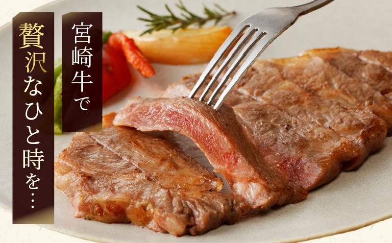 ＼4月20日(日)23時59分まで!!／≪数量限定≫宮崎牛食べ尽くし(梅コース)合計2.9kg以上_T030-133-MP