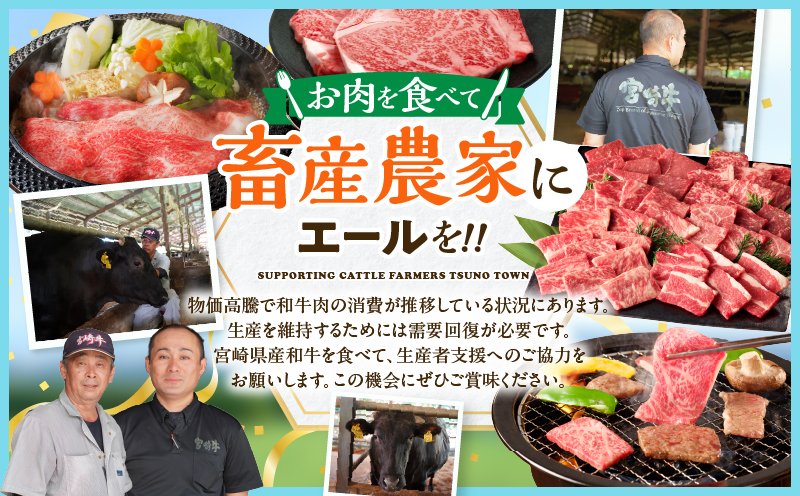 【2週間以内発送】【畜産農家応援!!】≪肉質等級4等級以上≫黒毛和牛赤身焼肉(計1kg) 肉 牛 牛肉 国産_T030-0936-2W