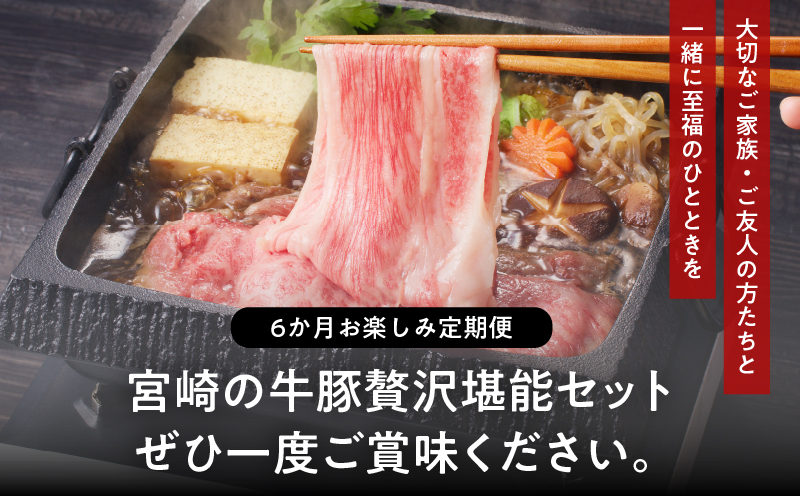 ≪6か月お楽しみ定期便≫宮崎の牛豚贅沢堪能セット(総重量4kg) 肉 牛肉 豚肉 おかず 国産_T030-064-MP