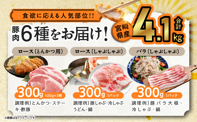 宮崎県産豚肉6種盛り合わせセット(合計4.1kg) 肉 豚 豚肉 おかず 国産_T030-204