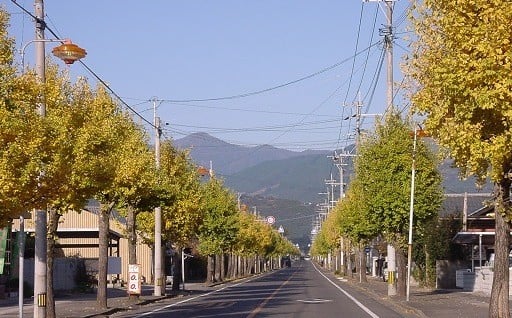 指定なし(町長おまかせ)