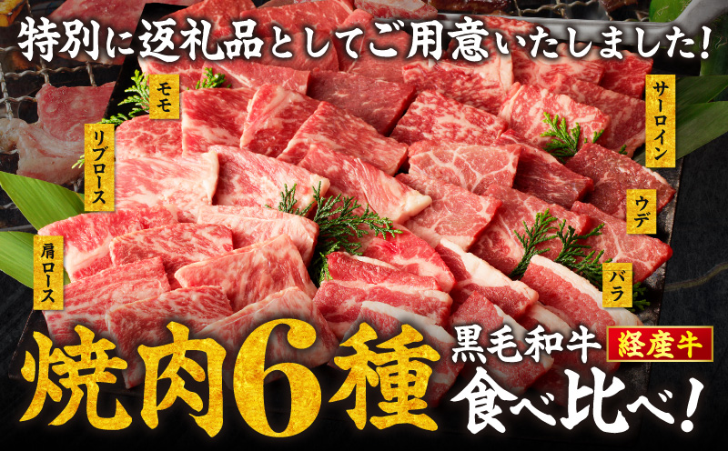 生産者応援≪訳あり≫黒毛和牛(経産牛)6種焼肉セット(合計600g) 肉 牛 牛肉 おかず 国産_T030-1203