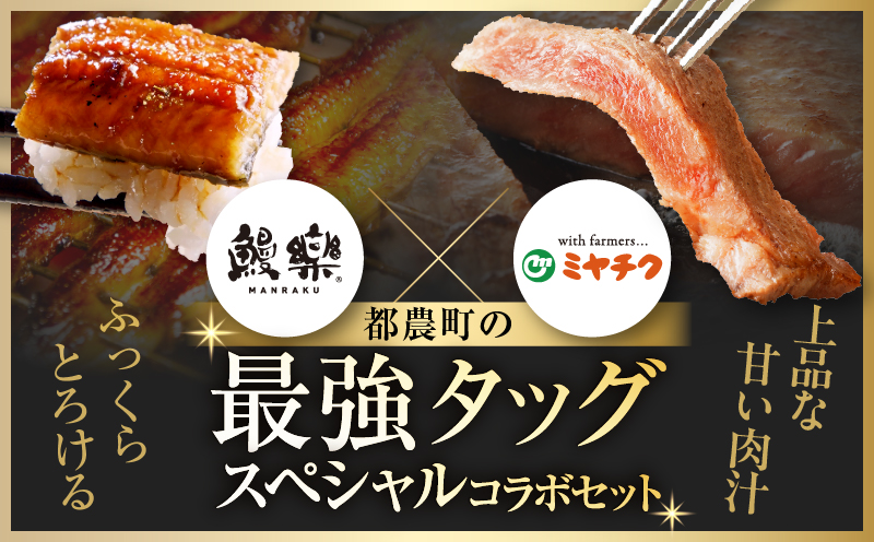 ≪数量限定≫うなぎ×宮崎牛 都農町最強セットA 肉 牛 牛肉 焼肉 国産_T030-1293