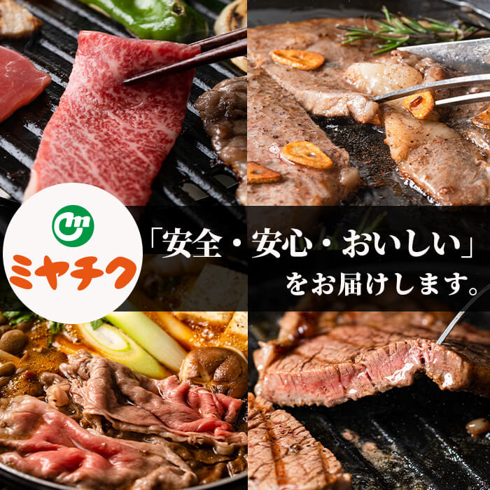 【定期便・全6回(連続)】宮崎牛焼肉・すき焼き食べ比べ定期便 お肉 牛肉 黒毛和牛 ブランド和牛 冷凍 国産 しゃぶしゃぶ すき焼き 焼肉 BBQ ロース ウデ モモ 赤身 【R-98】【ミヤチク】