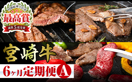 【定期便・全6回】宮崎牛定期便<Aセット・焼肉> お楽しみ便 牛肉 国産 定期 ヒレ肉 モモ ウデ ロース バラ 宮崎県産 黒毛和牛 焼肉 ステーキ 【R-100】【ミヤチク】