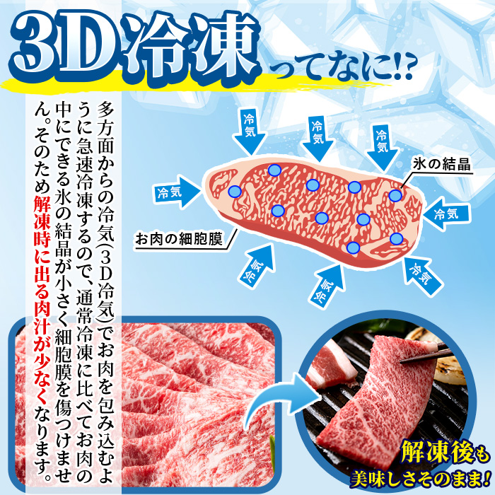 ＜宮崎牛・3D冷凍＞6部位食べ比べ焼肉(合計600g)牛肉 肉 ロース バラ モモ ヒレ ウデ セット 黒毛和牛 BBQ 国産 冷凍 宮崎県 門川町【R-27】【株式会社ミヤチク】