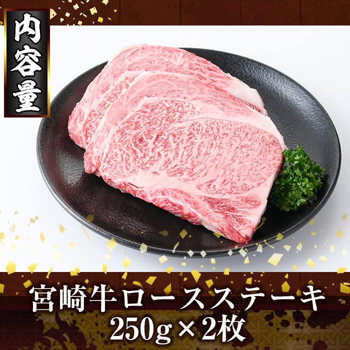 宮崎牛ロースステーキ(計500g・250g×2)お肉 牛肉 黒毛和牛 ブランド和牛 冷凍 国産 焼肉 BBQ【R-33】【ミヤチク】