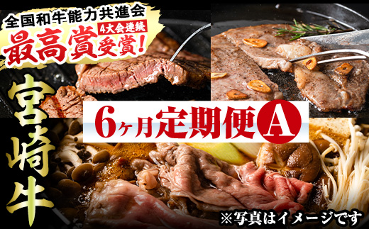 【定期便・全6回(連続)】宮崎牛定期便＜Aセット＞お楽しみ便 牛肉 国産 定期 ヒレ肉 モモ ウデ ロース バラ スライス 宮崎県産 黒毛和牛 焼肉 ステーキ しゃぶしゃぶ すき焼き【R-67】【株式会社ミヤチク】