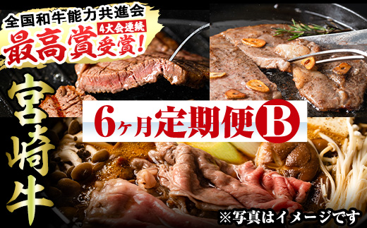 【定期便・全6回(連続)】宮崎牛定期便＜Bセット＞お楽しみ 牛肉 国産 定期 ヒレ肉 ひれにく モモ ウデ ロース バラ スライス 宮崎県産 黒毛和牛 焼肉 ステーキ しゃぶしゃぶ すき焼き【R-68】【株式会社ミヤチク】