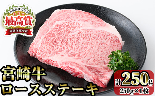 宮崎牛ロースステーキ(250g) お肉 牛肉 黒毛和牛 ブランド和牛 冷凍 国産 焼肉 BBQ ステーキ 【R-88】【ミヤチク】