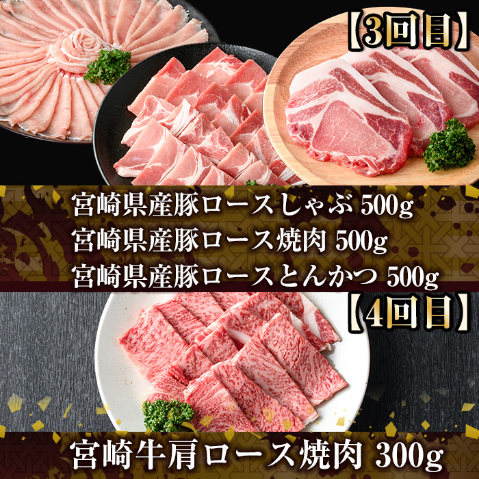 ＜定期便・全6回(連続)＞宮崎牛と県産豚の定期便(総量6.8kg)  牛肉 豚肉 もも 肉 肩ロース ウデ しゃぶしゃぶ 焼肉 豚バラ BBQ 精肉 小間切れ 豚小間 豚こま お取り寄せ 黒毛和牛 ブランド和牛 冷凍 国産【R-81】【ミヤチク】