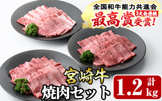 宮崎牛焼肉セット(合計1.2kg・ウデ焼肉400g、モモ焼肉400g、バラ焼肉400g)国産 九州産 宮崎県産 牛肉 黒毛和牛 和牛 焼き肉 霜降り 食べ比べ セット 冷凍 バーベキュー【R-55】【ミヤチク】