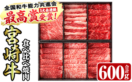 ＜宮崎牛・3D冷凍＞6部位食べ比べ焼肉(合計600g)牛肉 肉 ロース バラ モモ ヒレ ウデ セット 黒毛和牛 BBQ 国産 冷凍 宮崎県 門川町【R-27】【株式会社ミヤチク】