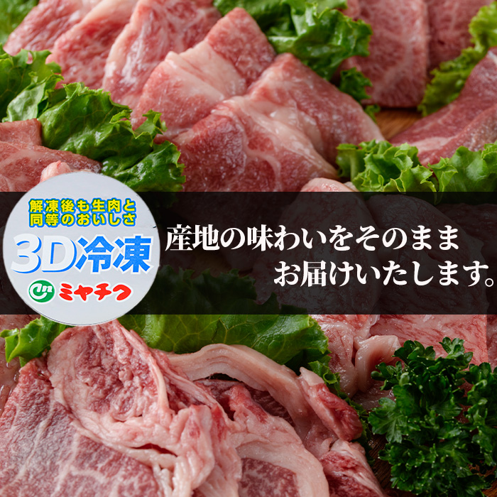 ＜宮崎牛・3D冷凍＞6部位食べ比べ焼肉(合計600g)牛肉 肉 ロース バラ モモ ヒレ ウデ セット 黒毛和牛 BBQ 国産 冷凍 宮崎県 門川町【R-27】【株式会社ミヤチク】