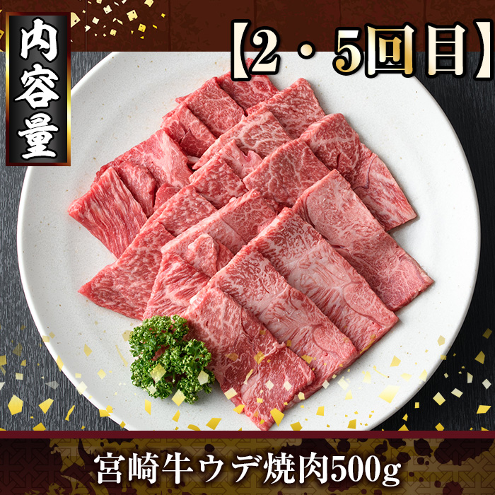 ＜定期便・全6回(連続)＞宮崎牛焼肉定期便(総量2.6kg) 牛肉 もも 肉 肩ロース ウデ BBQ 精肉 お取り寄せ 黒毛和牛 ブランド和牛 冷凍 国産【R-79】【ミヤチク】