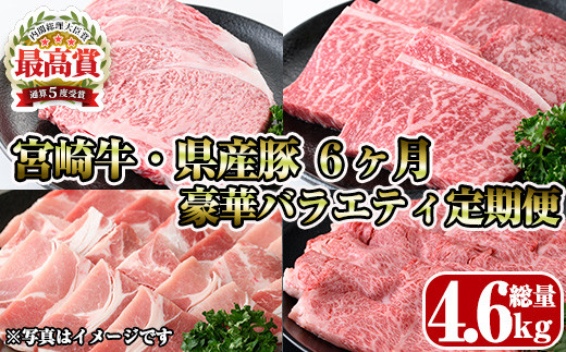 【定期便・全6回(連続)】宮崎牛・県産豚豪華バラエティ定期便 お肉 豚肉 牛肉 黒毛和牛 ブランド和牛 冷凍 国産 しゃぶしゃぶ すき焼き 焼肉 BBQ ロース ウデ モモ 赤身 食べ比べ 【R-99】【ミヤチク】