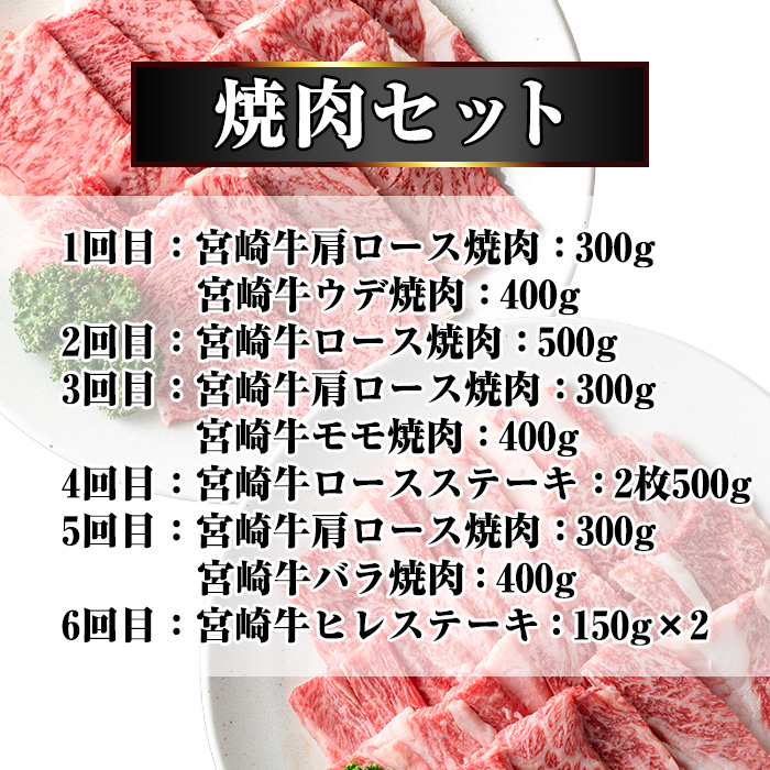 【定期便・全6回】宮崎牛定期便＜Aセット・焼肉＞ お楽しみ便 牛肉 国産 定期 ヒレ肉 モモ ウデ ロース バラ 宮崎県産 黒毛和牛 焼肉 ステーキ 【R-100】【ミヤチク】