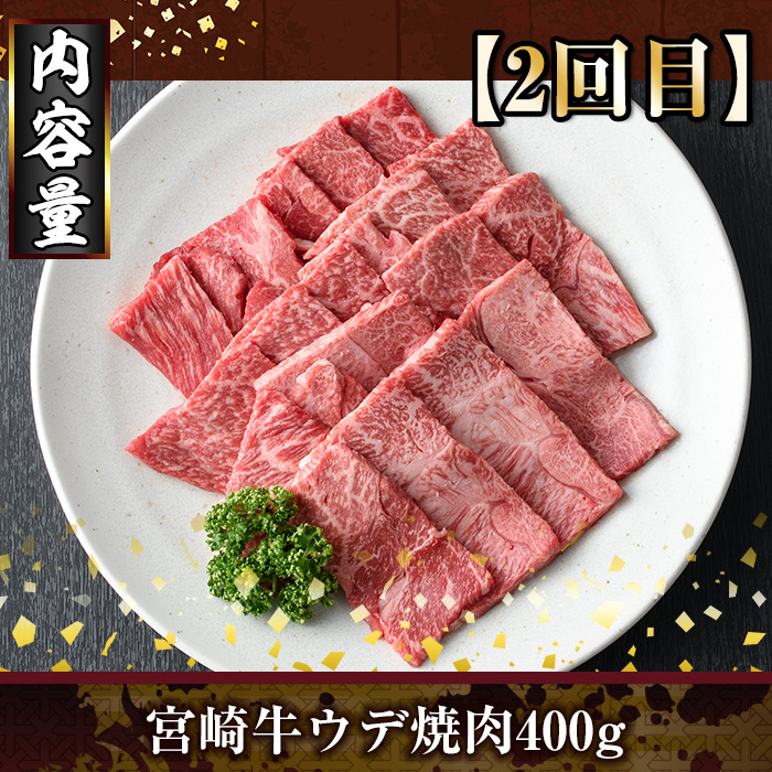 ＜定期便・全3回(連続)＞宮崎牛焼肉定期便(総量1.2kg) 牛肉 もも 肉 焼肉 肩ロース ウデ BBQ 精肉 お取り寄せ 黒毛和牛 ブランド和牛 冷凍 国産【R-83】【ミヤチク】